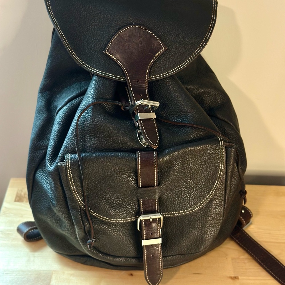Roots Dark Brown Leather Backpack